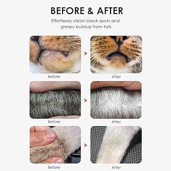 Mooncat Kitten & Cat Acne Chin Treatment | First Cuztomized